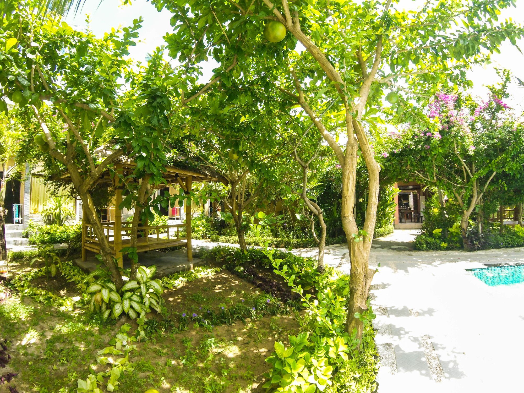 Wisma tamu Bidadari Bali Nusa Dua (Bali)